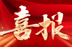 喜報｜煙臺金正環保牽頭獲批省級重大科技項目，引領工業廢鹽綠色資源化新突破！